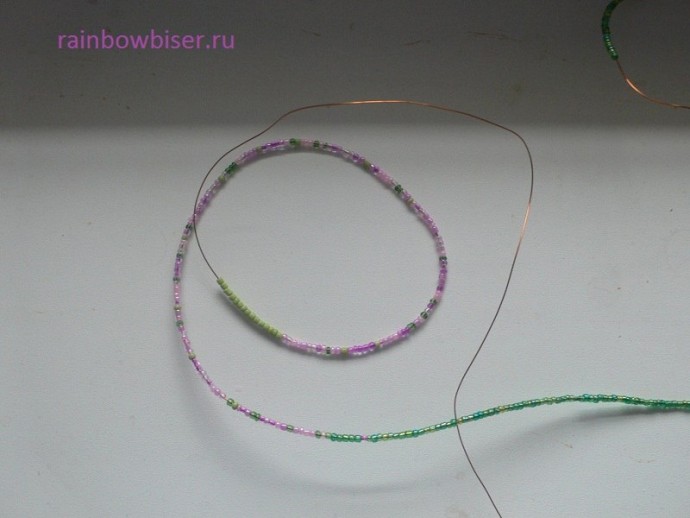 Дерево цветущей акации