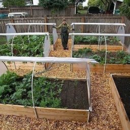 Короб-парник своими руками