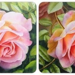 Учимся рисовать розу акварелью