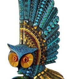 Фантастические мексиканские совы