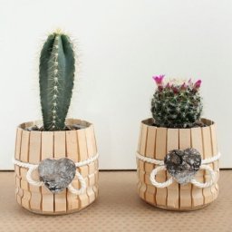 Необычные кашпо из обычных деревянных прищепок