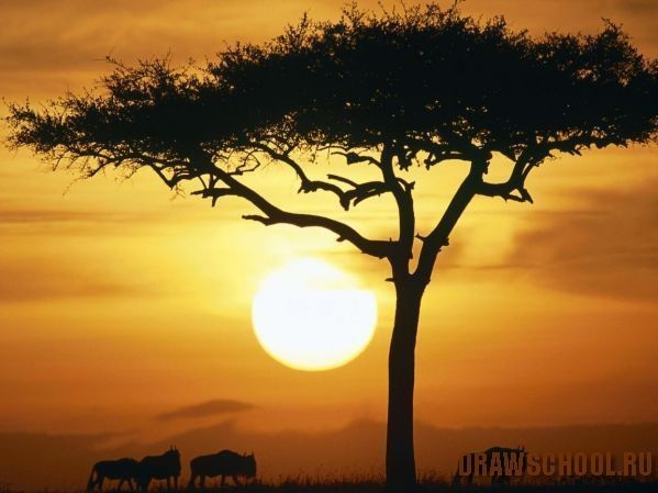 Пейзаж "Африка"