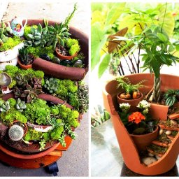 ​Сад в разбитом горшке своими руками