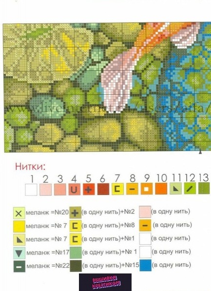 Золотые рыбки Золотые рыбки