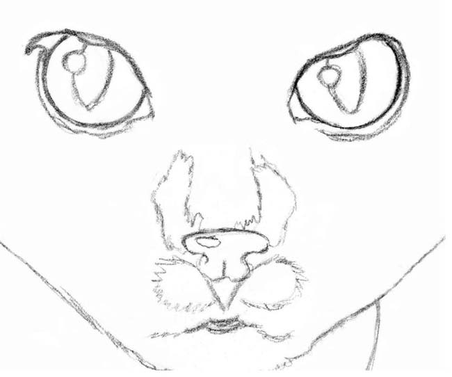 Рисуем кота карандашом