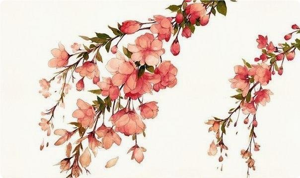 Учимся рисовать цвeты aквapeлью Учимся рисовать цвeты aквapeлью