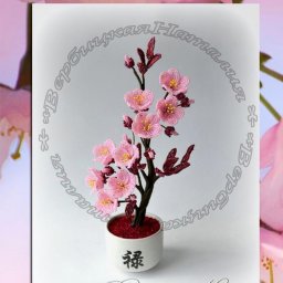 ​Цветение прекрасной сакуры