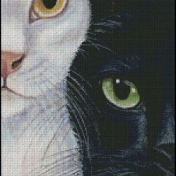 ​Две половинки: кошки
