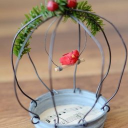 ​Клетка с птичкой