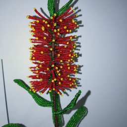 ​Необычный цветок-щетка