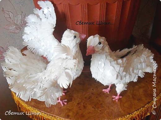 Любовь и голуби: пригласите счастье в дом