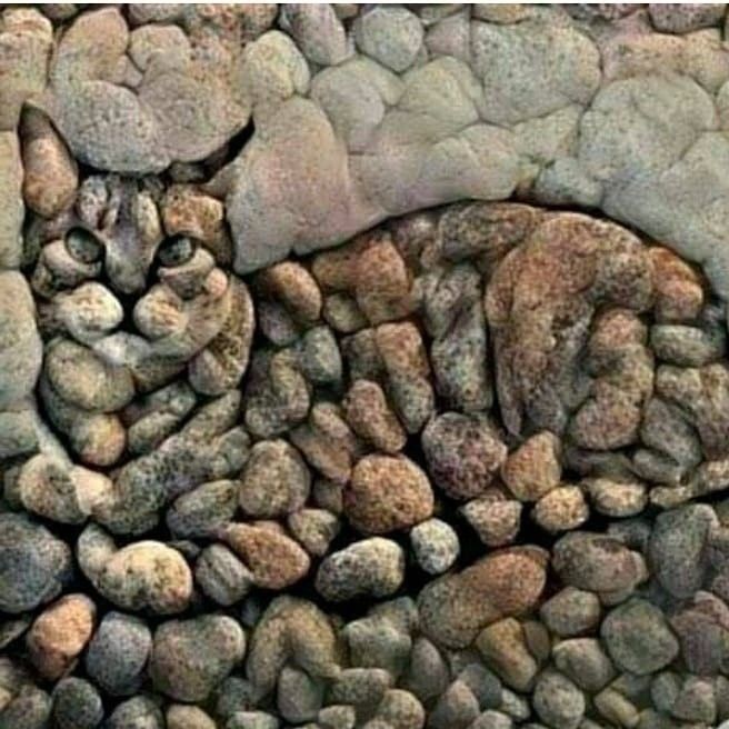 Удивительные картины из камней в виде животных: идеи