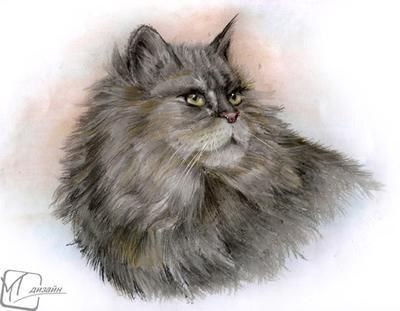 ​Рисуем роскошную кошку