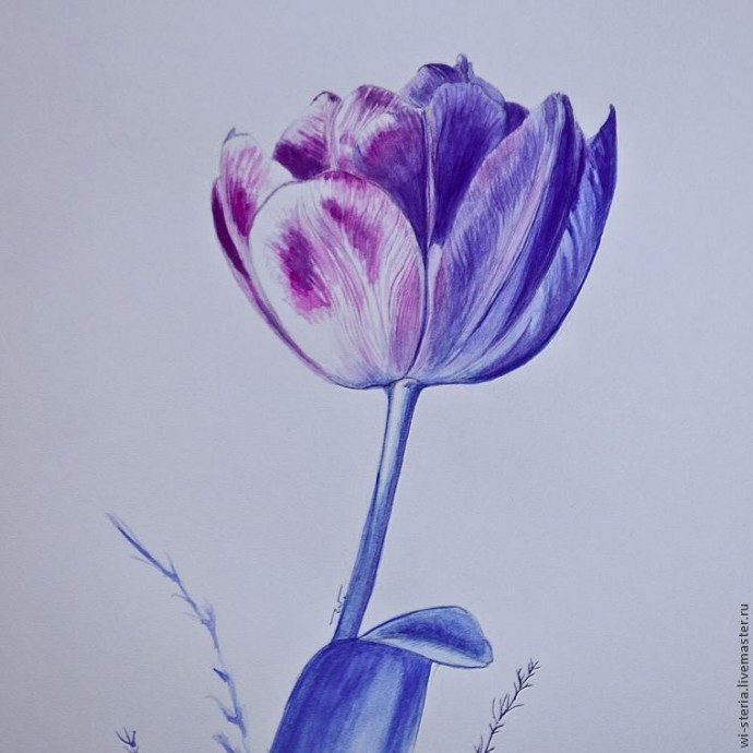Зимний тюльпан в технике акварельной живописи Зимний тюльпан в технике акварельной живописи
