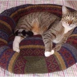 ​Лежак для котика или собачки