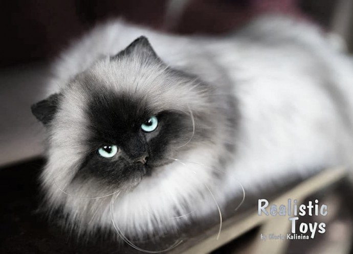 Нереально реальные животные