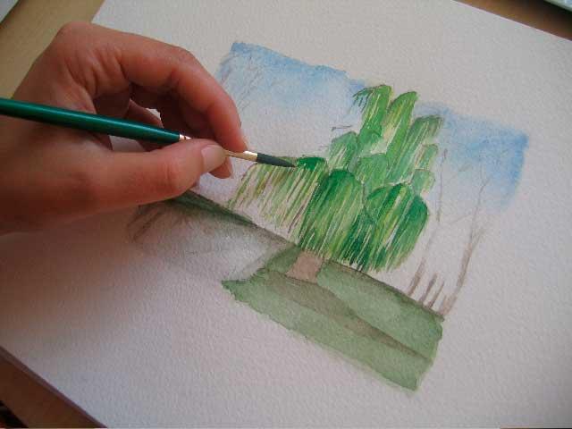 Плакучая ива акварелью