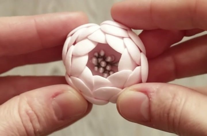 Самые нежные цветы