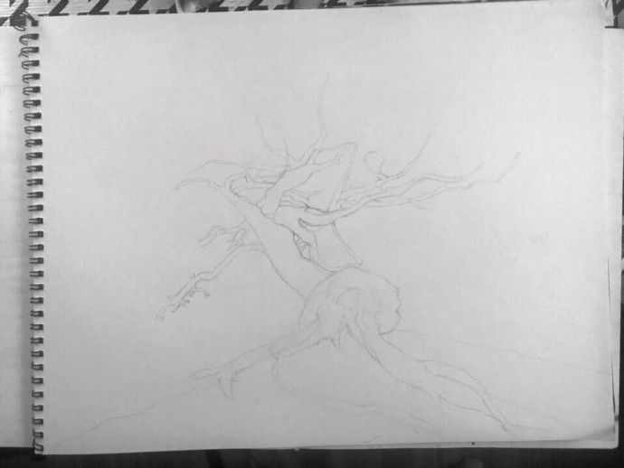 Рисуем дерево на горе: мастер-класс