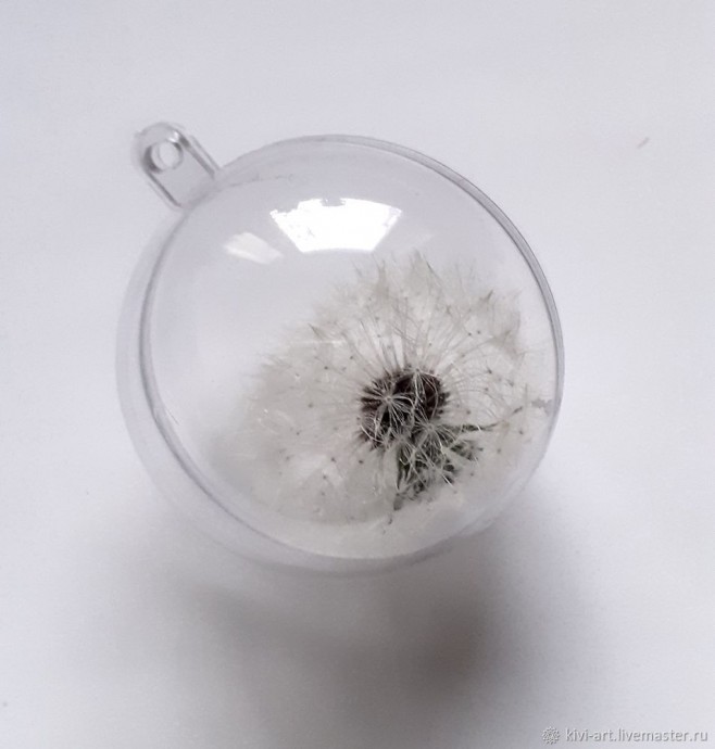 Одуванчиковое счастье