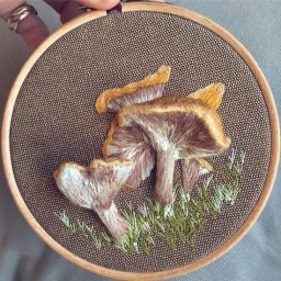 Прекрасная объемная вышивка: идеи для вдохновения