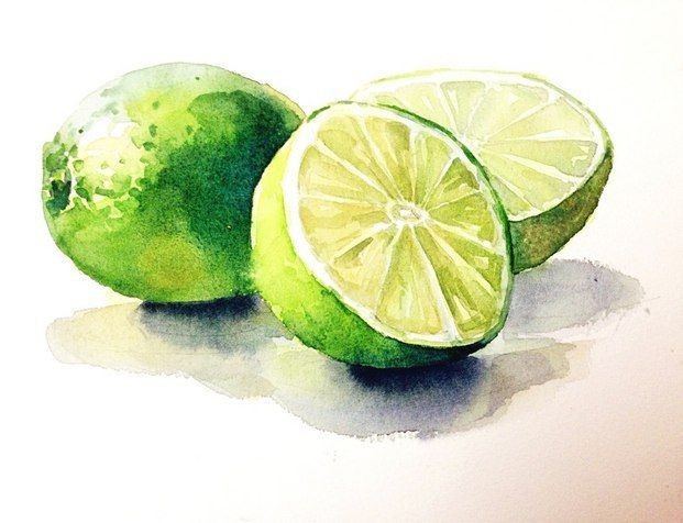 Рисуем лайм: мастер-класс