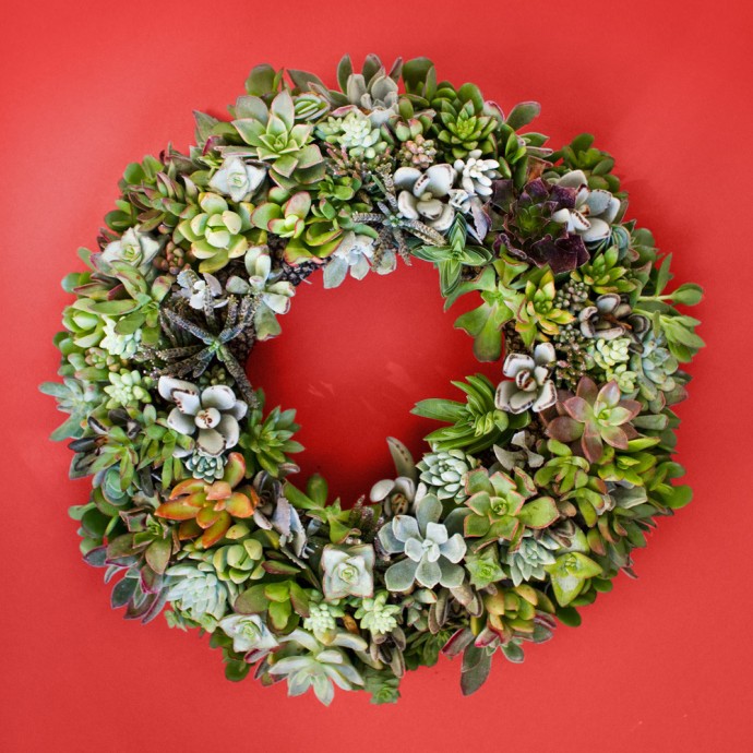 Восхитительные венки из суккулентов