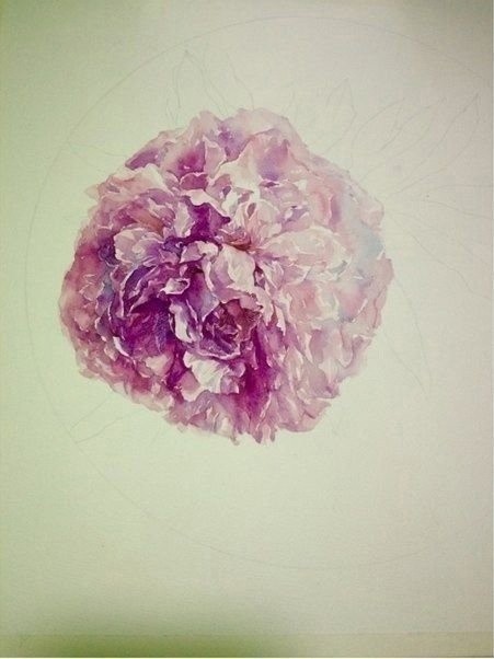 Урок рисования акварелью: шикарный цветок