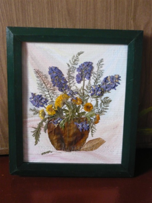 Картина из засушенных растений: мастер-класс