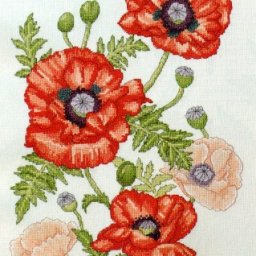 ​Вышиваем алые маки
