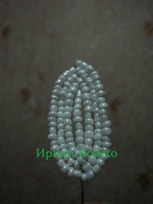 Белая орхидея