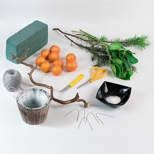 Мандариновое дерево Мандариновое дерево