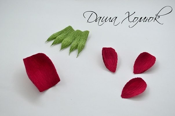 Шикарная бордовая роза с изюминкой