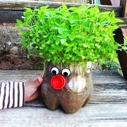Креативные горшочки для зелени