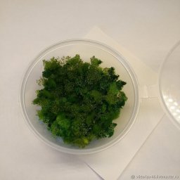 Искусственный мох своими руками