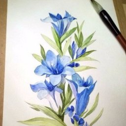 Рисуем цветы акварелью поэтапно