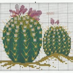 ​Вышиваем кактусы