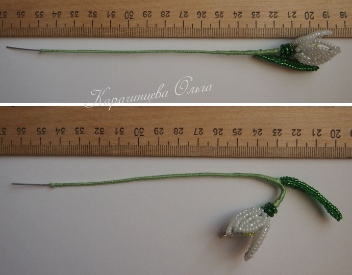 ​Нежные подснежники