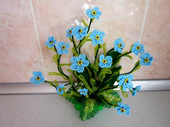 Незабываемые незабудки