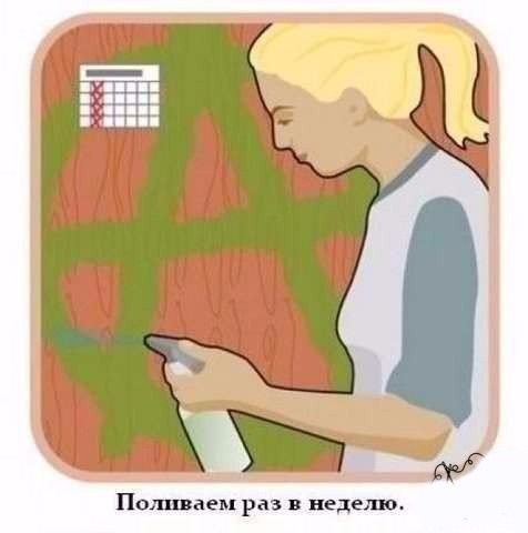 ​Рисуем граффити из мха