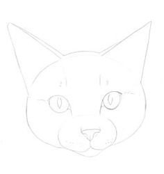 Рисуем кошку Рисуем кошку