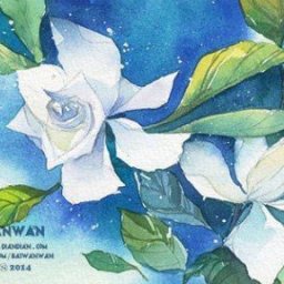 ​Белые цветы на синем фоне