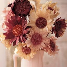 Подсолнух из кукурузы