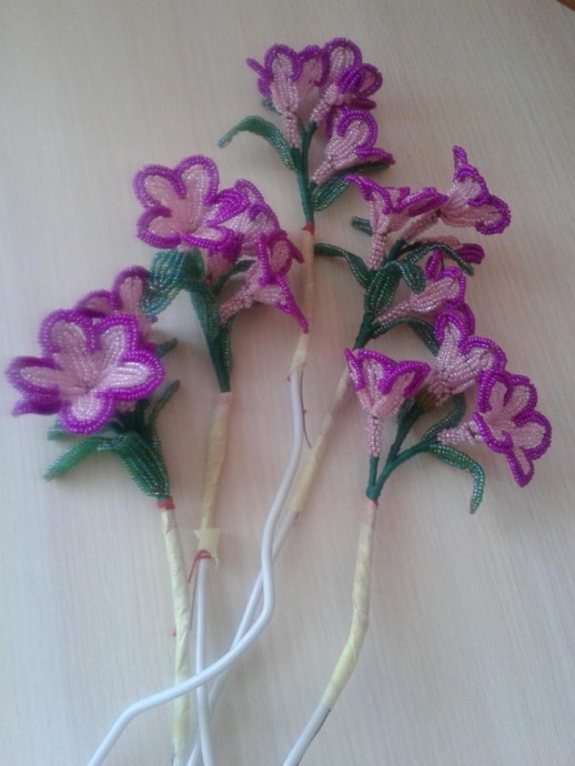 Бонсай адениум: мастер-класс