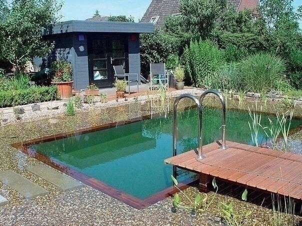 Создание пруда-бассейна на загородном участке Создание пруда-бассейна на загородном участке