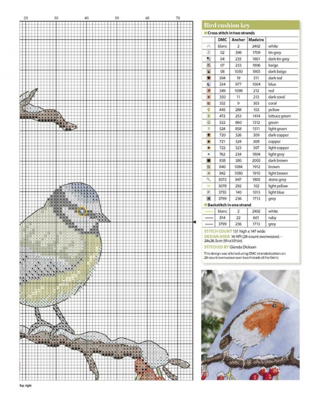 Вышивка "Замерзшие птички"