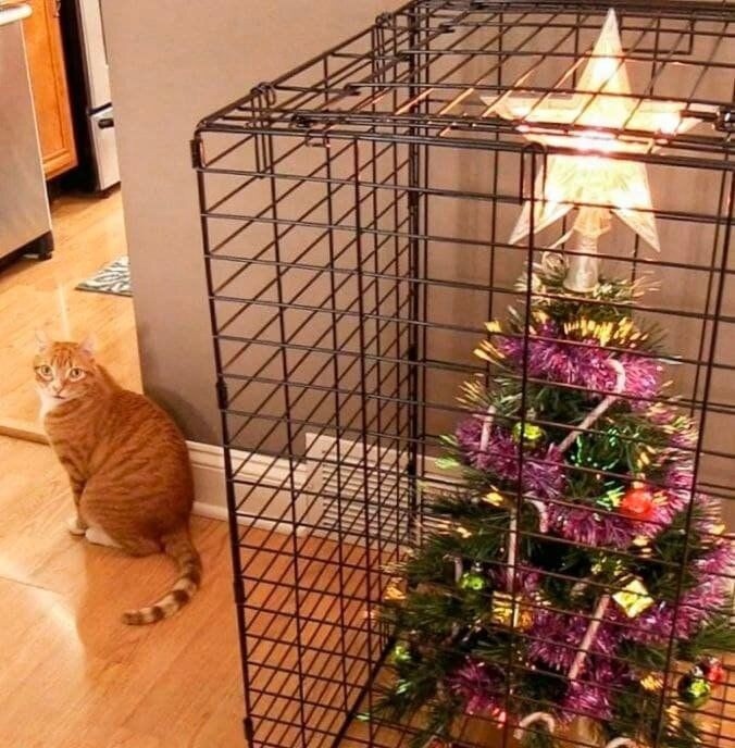 ​Антивандальные варианты ёлочек