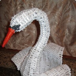 Лебедь из газет