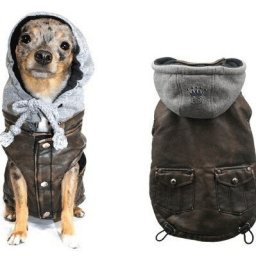 Выкройка попоны с капюшоном