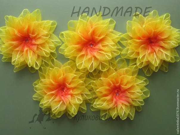 Хризантемы из тонированной капроновой ленты